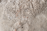 <div>Cosimo Filippini, <em>Rilievo (Ercole) #2,</em> 2025<br>Stampa digitale su forex<br>78 x 116 cm</div>